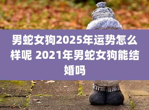男蛇女狗2025年运势怎么样呢 2021年男蛇女狗能结婚吗