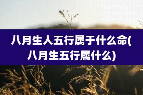 八月生人五行属于什么命(八月生五行属什么)