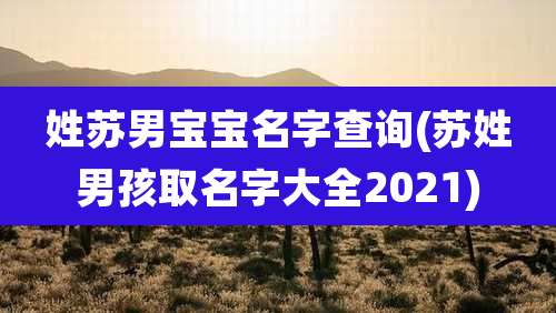 姓苏男宝宝名字查询(苏姓男孩取名字大全2021)