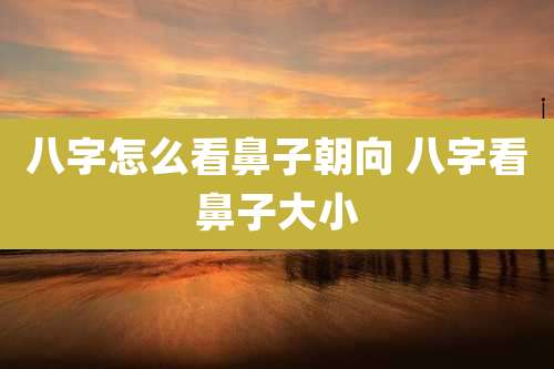 八字怎么看鼻子朝向 八字看鼻子大小