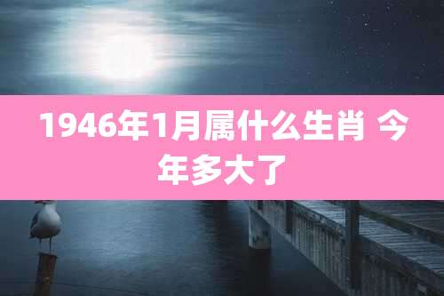 1946年1月属什么生肖 今年多大了