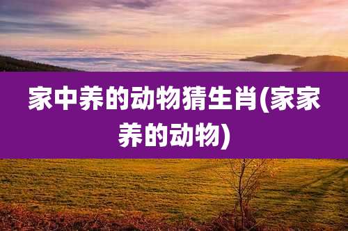 家中养的动物猜生肖(家家养的动物)