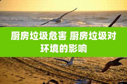 厨房垃圾危害 厨房垃圾对环境的影响