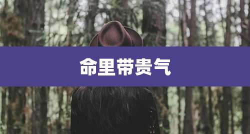命里带贵气