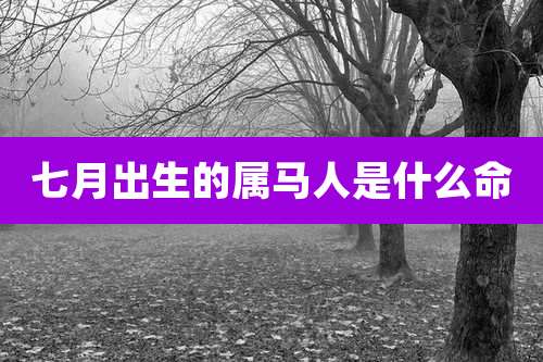 七月出生的属马人是什么命
