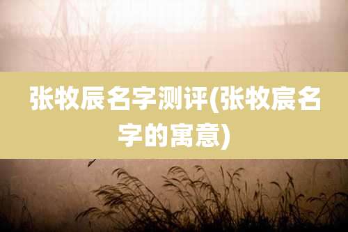 张牧辰名字测评(张牧宸名字的寓意)