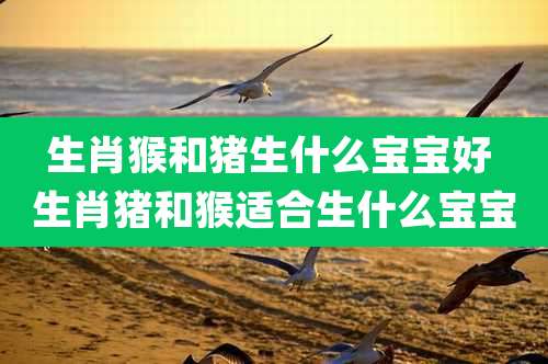生肖猴和猪生什么宝宝好 生肖猪和猴适合生什么宝宝