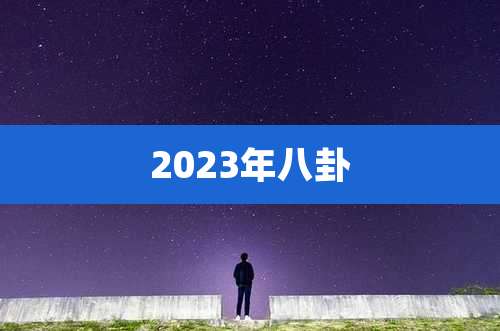 2023年八卦