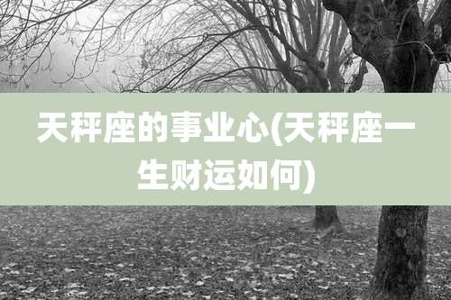 天秤座的事业心(天秤座一生财运如何)