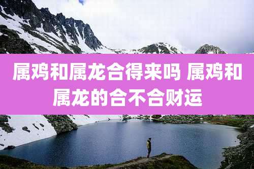 属鸡和属龙合得来吗 属鸡和属龙的合不合财运