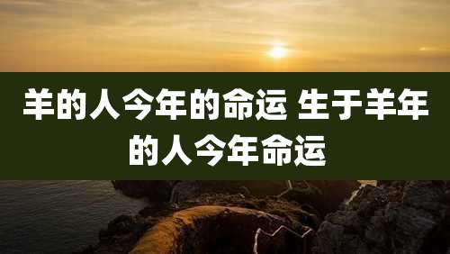 羊的人今年的命运 生于羊年的人今年命运