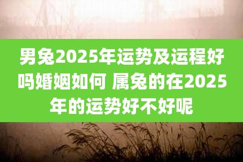 男兔2025年运势及运程好吗婚姻如何 属兔的在2025年的运势好不好呢