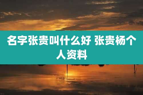 名字张贵叫什么好 张贵杨个人资料