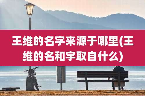 王维的名字来源于哪里(王维的名和字取自什么)
