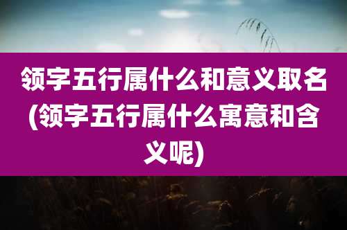 领字五行属什么和意义取名(领字五行属什么寓意和含义呢)
