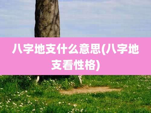 八字地支什么意思(八字地支看性格)