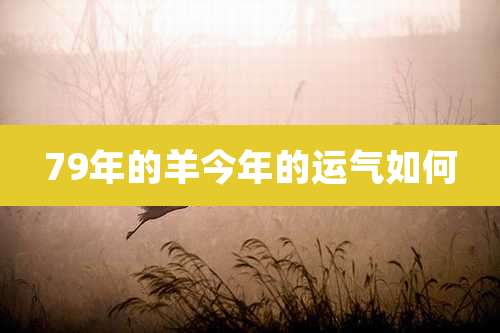 79年的羊今年的运气如何