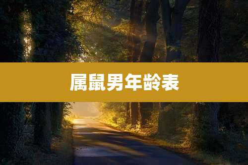 属鼠男年龄表