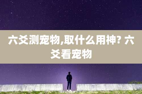 六爻测宠物,取什么用神? 六爻看宠物
