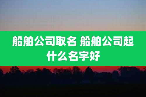 船舶公司取名 船舶公司起什么名字好
