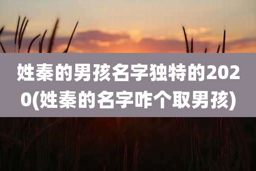 姓秦的男孩名字独特的2020(姓秦的名字咋个取男孩)