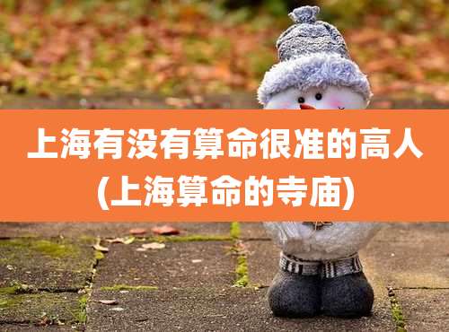 上海有没有算命很准的高人(上海算命的寺庙)