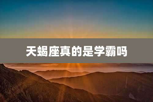 天蝎座真的是学霸吗