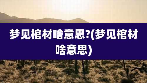 梦见棺材啥意思?(梦见棺材啥意思)