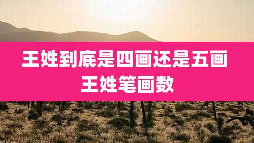 王姓到底是四画还是五画 王姓笔画数