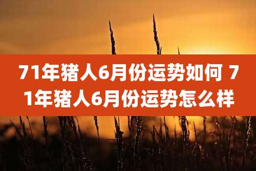 71年猪人6月份运势如何 71年猪人6月份运势怎么样