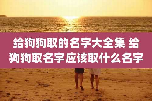 给狗狗取的名字大全集 给狗狗取名字应该取什么名字
