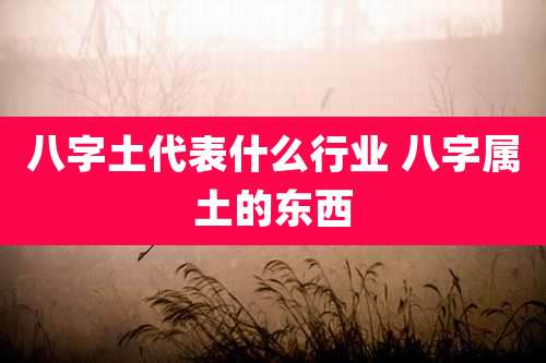 八字土代表什么行业 八字属土的东西