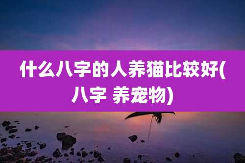 什么八字的人养猫比较好(八字 养宠物)