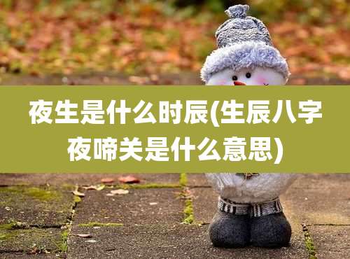 夜生是什么时辰(生辰八字夜啼关是什么意思)