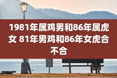 1981年属鸡男和86年属虎女 81年男鸡和86年女虎合不合