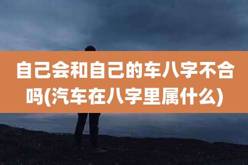 自己会和自己的车八字不合吗(汽车在八字里属什么)