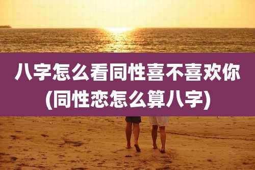 八字怎么看同性喜不喜欢你(同性恋怎么算八字)