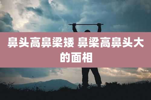 鼻头高鼻梁矮 鼻梁高鼻头大的面相