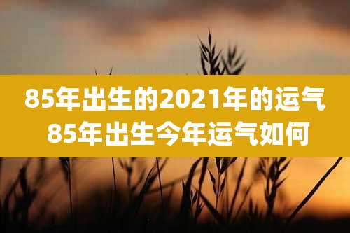 85年出生的2021年的运气 85年出生今年运气如何