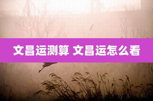 文昌运测算 文昌运怎么看