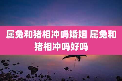 属兔和猪相冲吗婚姻 属兔和猪相冲吗好吗