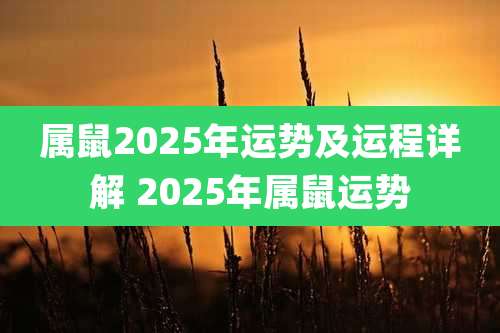 属鼠2025年运势及运程详解 2025年属鼠运势