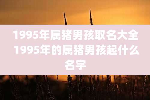 1995年属猪男孩取名大全 1995年的属猪男孩起什么名字