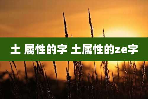 土 属性的字 土属性的ze字
