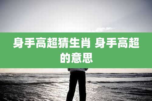 身手高超猜生肖 身手高超的意思