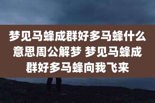 梦见马蜂成群好多马蜂什么意思周公解梦 梦见马蜂成群好多马蜂向我飞来