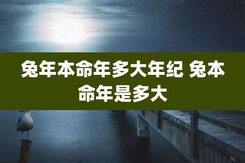 兔年本命年多大年纪 兔本命年是多大