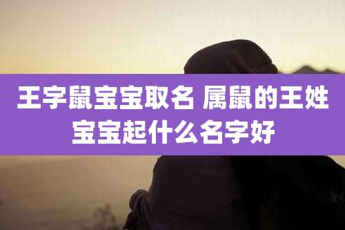 王字鼠宝宝取名 属鼠的王姓宝宝起什么名字好