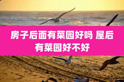 房子后面有菜园好吗 屋后有菜园好不好