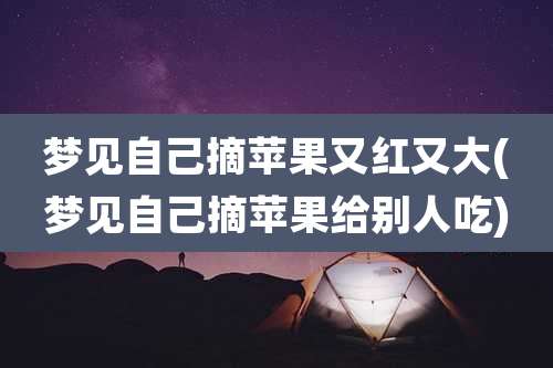梦见自己摘苹果又红又大(梦见自己摘苹果给别人吃)